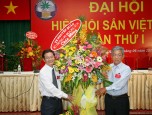Establish Vietnam Cassava Association